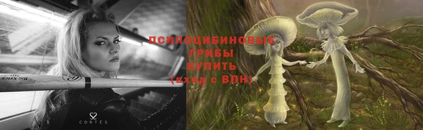 мет Абаза