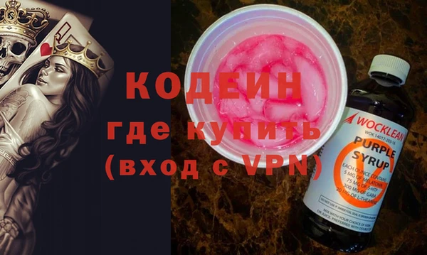 индика Мурманск