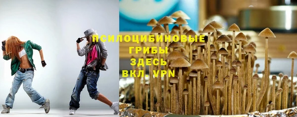 мет Абаза