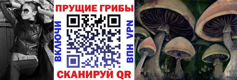 Галлюциногенные грибы прущие грибы  где можно купить наркотик  Отрадное 